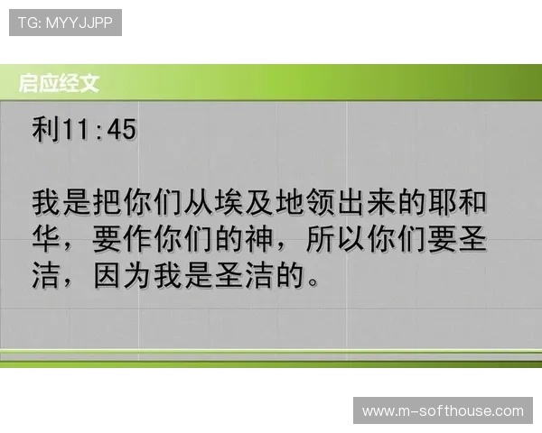 BigWinner大赢家客户服务全攻略，解决你的疑问与难题，享受无忧游戏体验